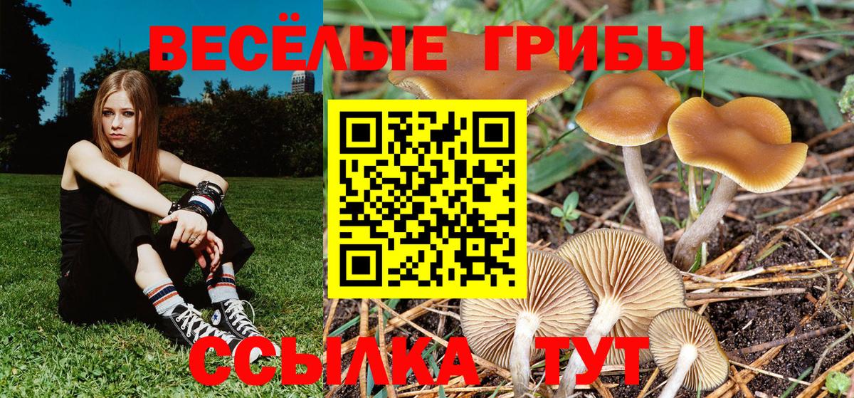 Псилоцибиновые грибы прущие грибы Королёв