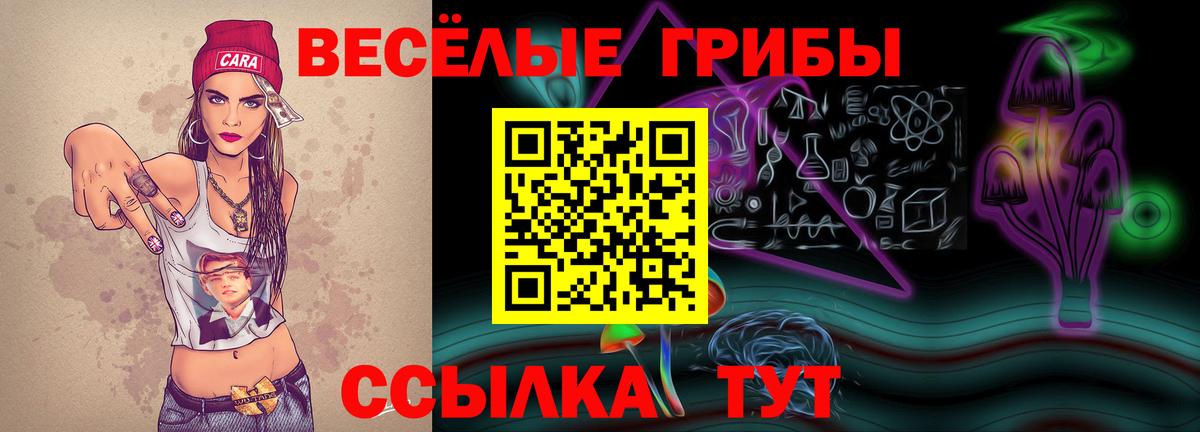 ГАШИШ Королёв