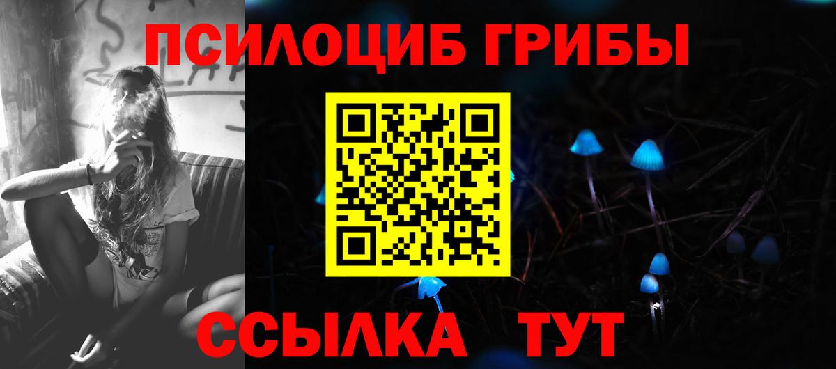 Галлюциногенные грибы GOLDEN TEACHER  Вход с VPN  Королёв  Галлюциногенные грибы Magic Shrooms 