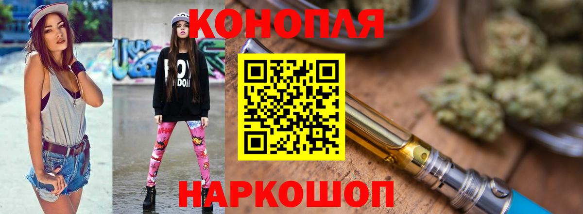 Королёв  Шишки марихуана планчик  Бошки марихуана тримм  Марихуана White Widow  Вход с VPN  Конопля план 